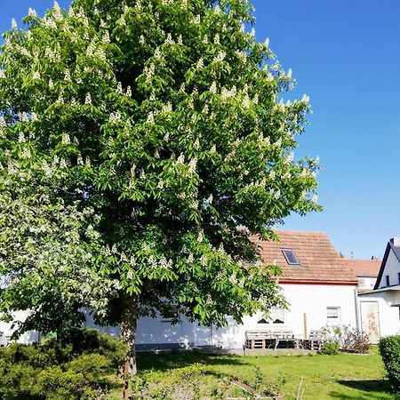 Ferienwohnung Lodig Gross Sarchen Esterno foto
