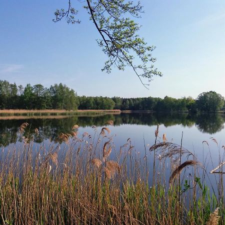 Ferienwohnung Lodig Gross Sarchen Esterno foto